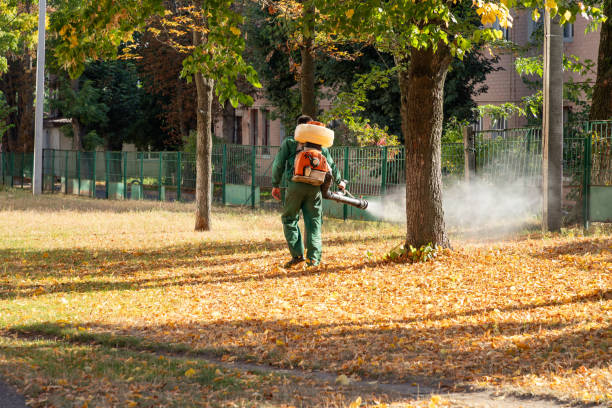 Best Rodent Control Near Me  in Hampton, SC